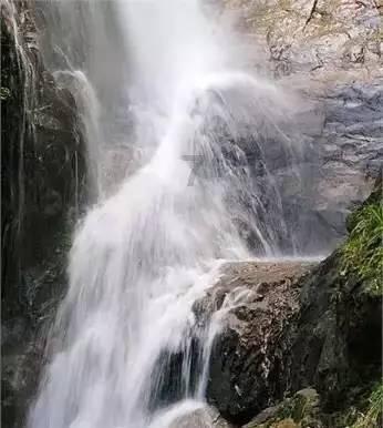 卡通骆驼救援